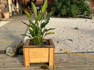 Lopomalé Création (2)
